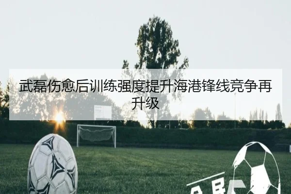 武磊伤愈后训练强度提升海港锋线竞争再升级